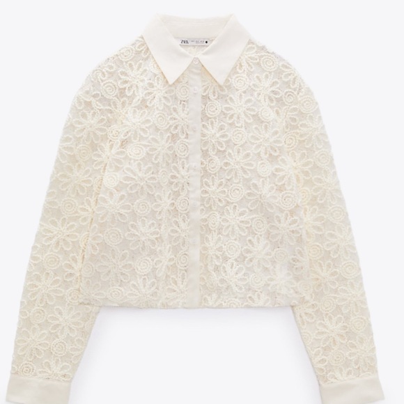 Zara Embroidered Lace Cropped Blouse - Picture 2 of 11